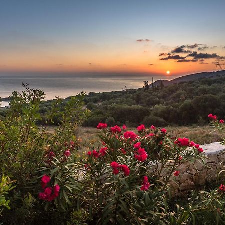 Yiameli Villas With Private Pool Σκινάρια Εξωτερικό φωτογραφία