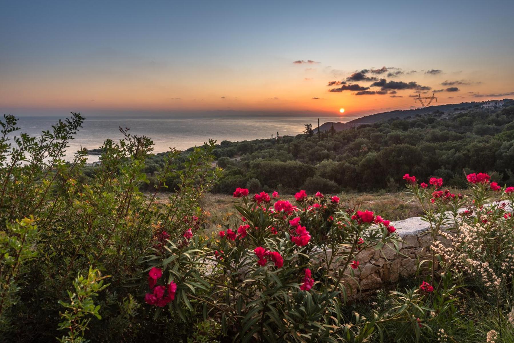 Yiameli Villas With Private Pool Σκινάρια Εξωτερικό φωτογραφία